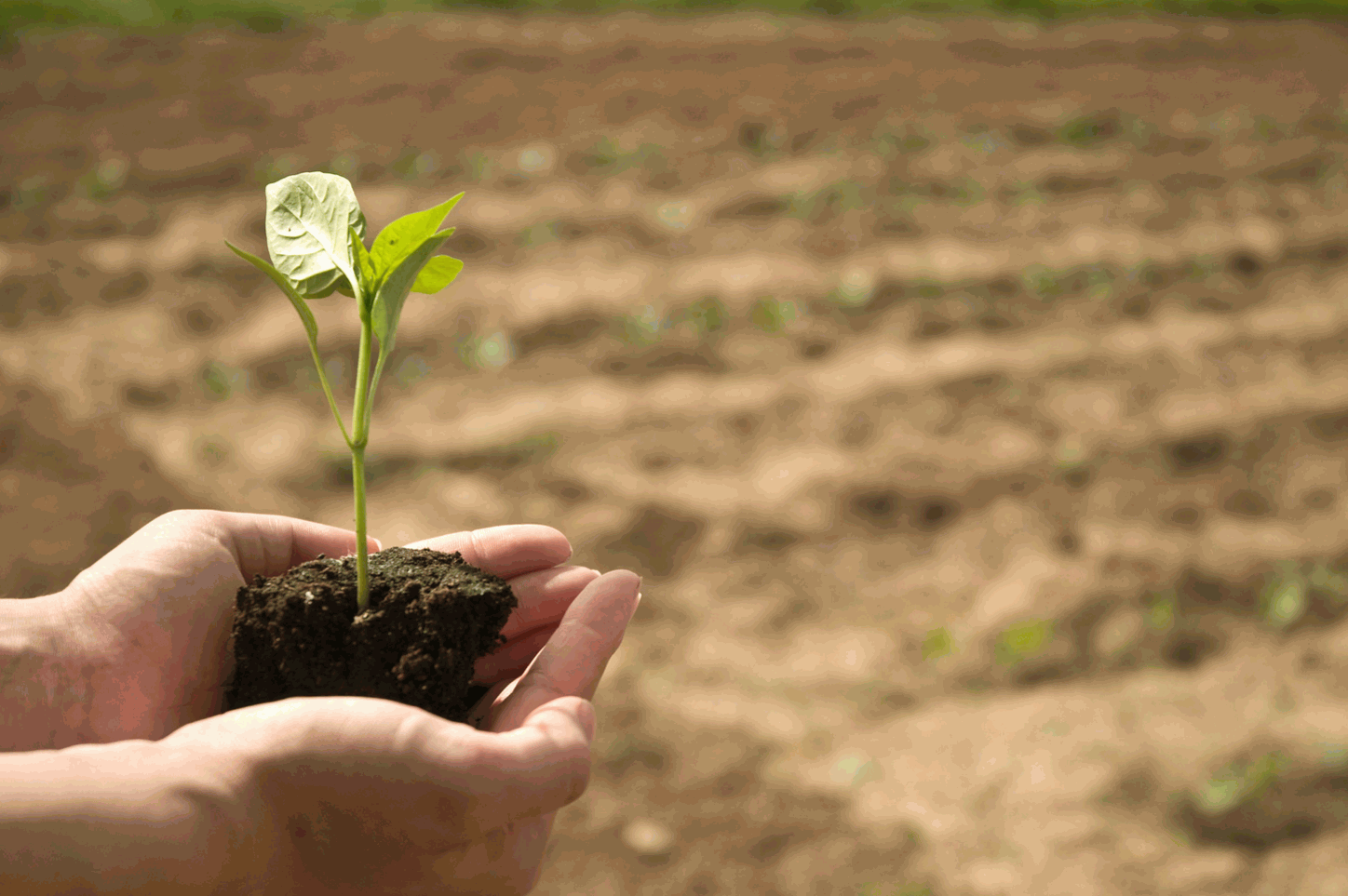 Company Mission Image